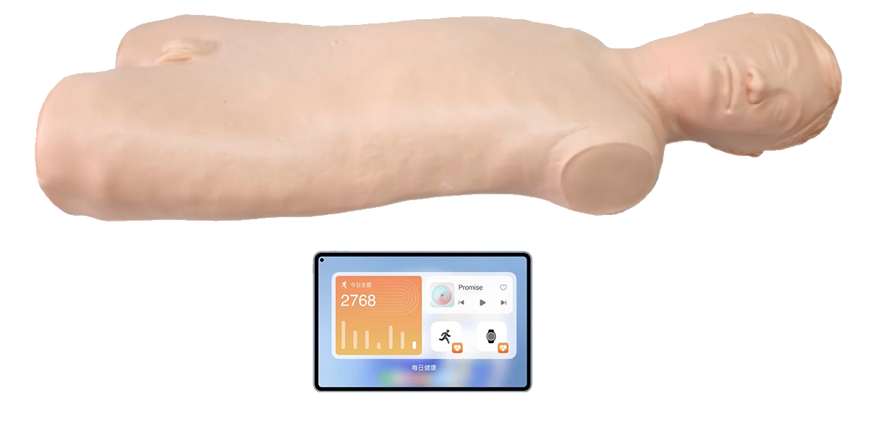 MN208高级腹腔穿刺训练系统